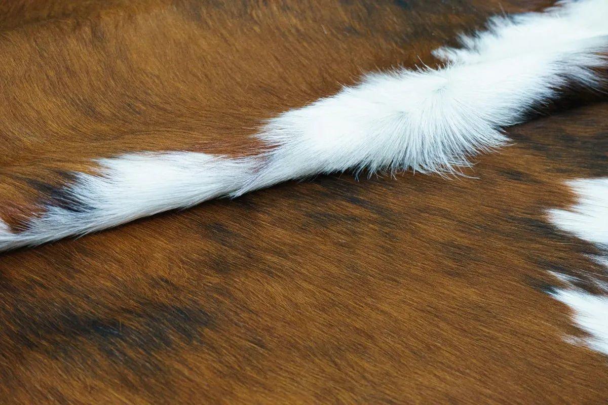 Cowhide close-up