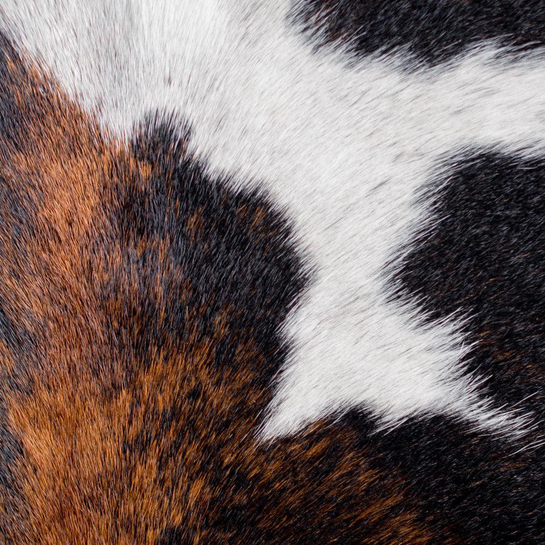 Cowhide texture detail